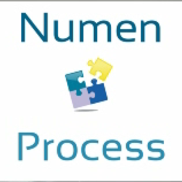 Numen Process - Newsletter