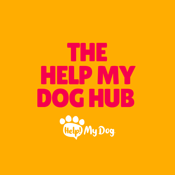 Help my dog hub