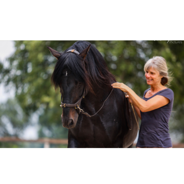 Lateral Movements - LIFETIME access