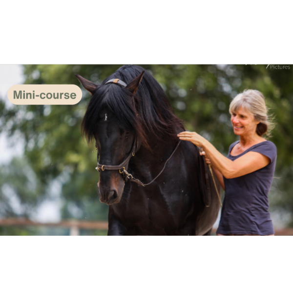 Lateral Movements mini-course