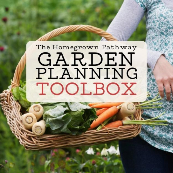 Homegrown Pathway Planning Toolbox
