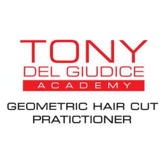 GEOMETRIC HAIR CUT Practitioner