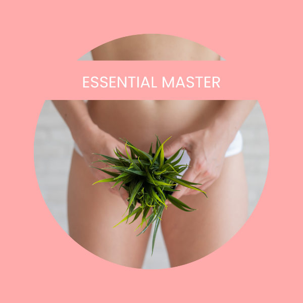 The Essential Master® Online Theory