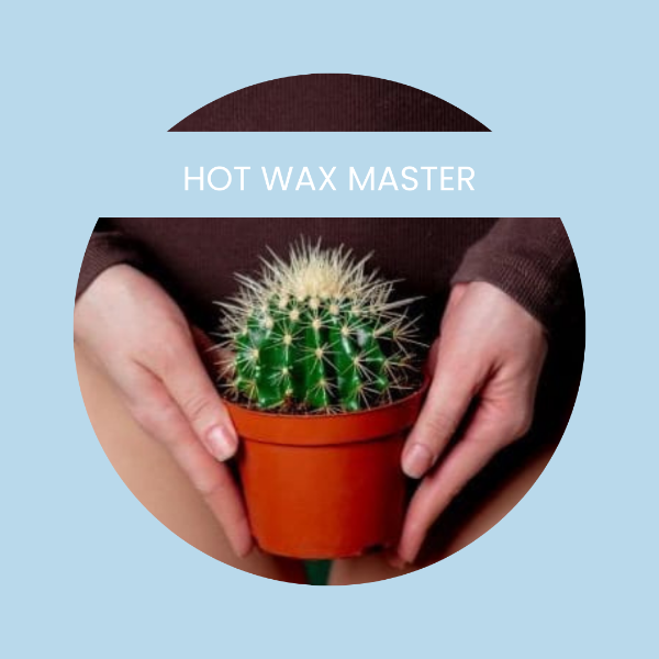 The Hot Wax Master® Online Theory